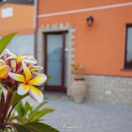 La Pomelia B&B Sofia Trappitello Ngoại thất bức ảnh