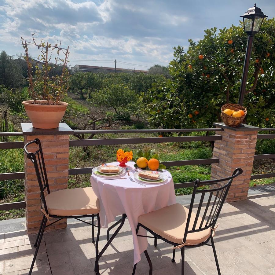 La Pomelia B&B Sofia Trappitello Ngoại thất bức ảnh