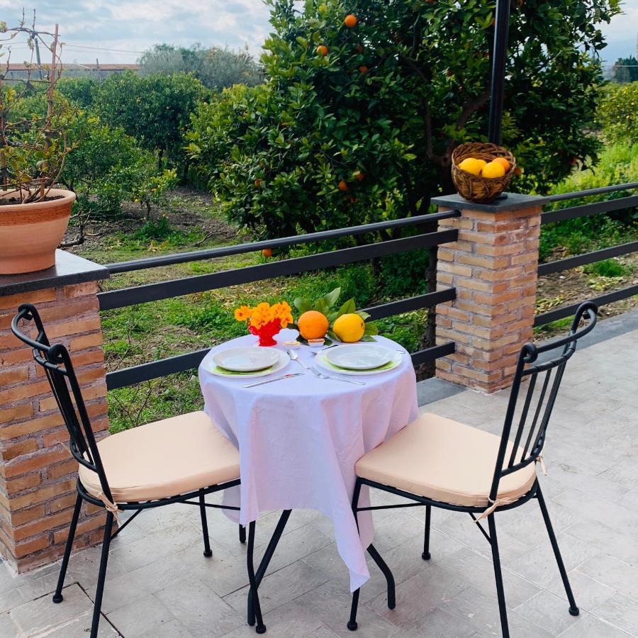 La Pomelia B&B Sofia Trappitello Ngoại thất bức ảnh