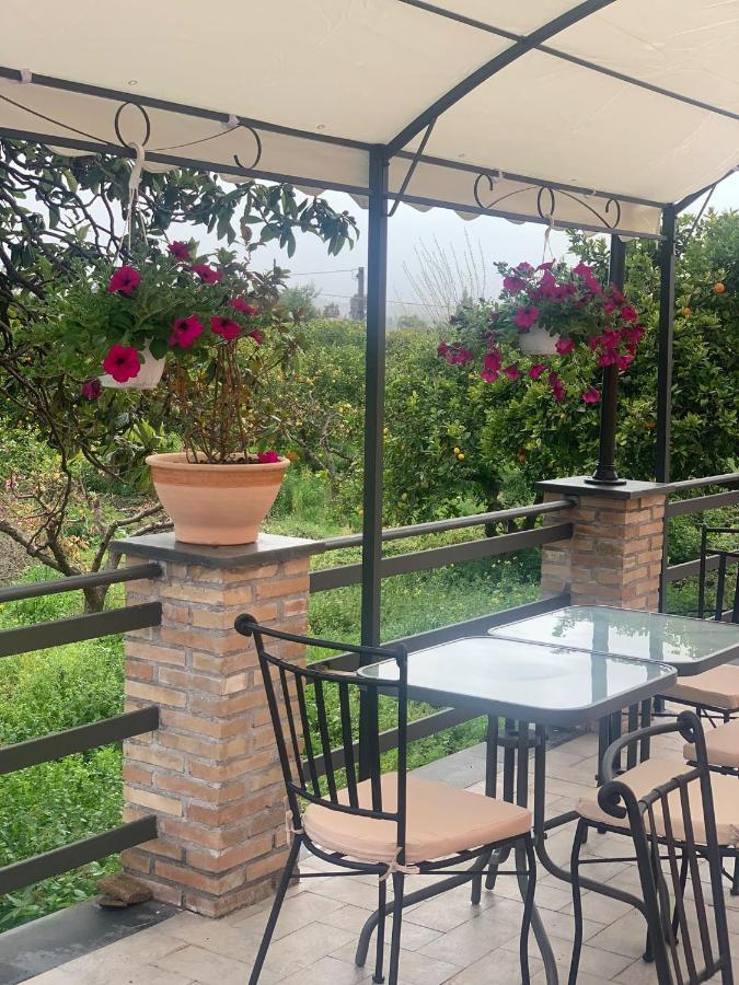 La Pomelia B&B Sofia Trappitello Ngoại thất bức ảnh