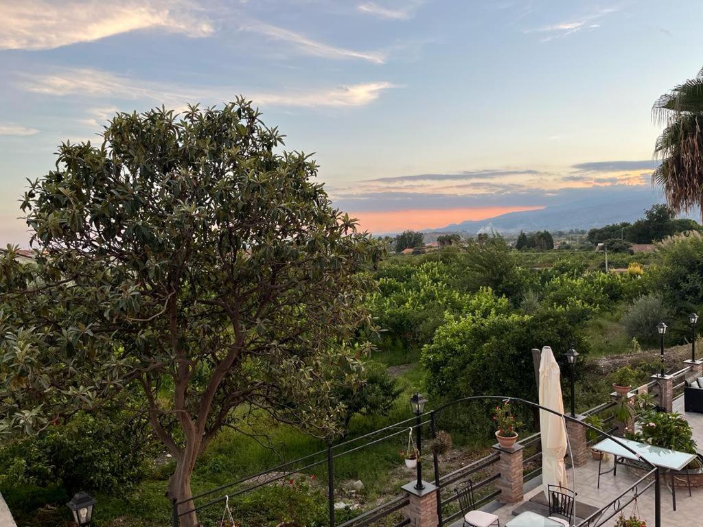 La Pomelia B&B Sofia Trappitello Ngoại thất bức ảnh