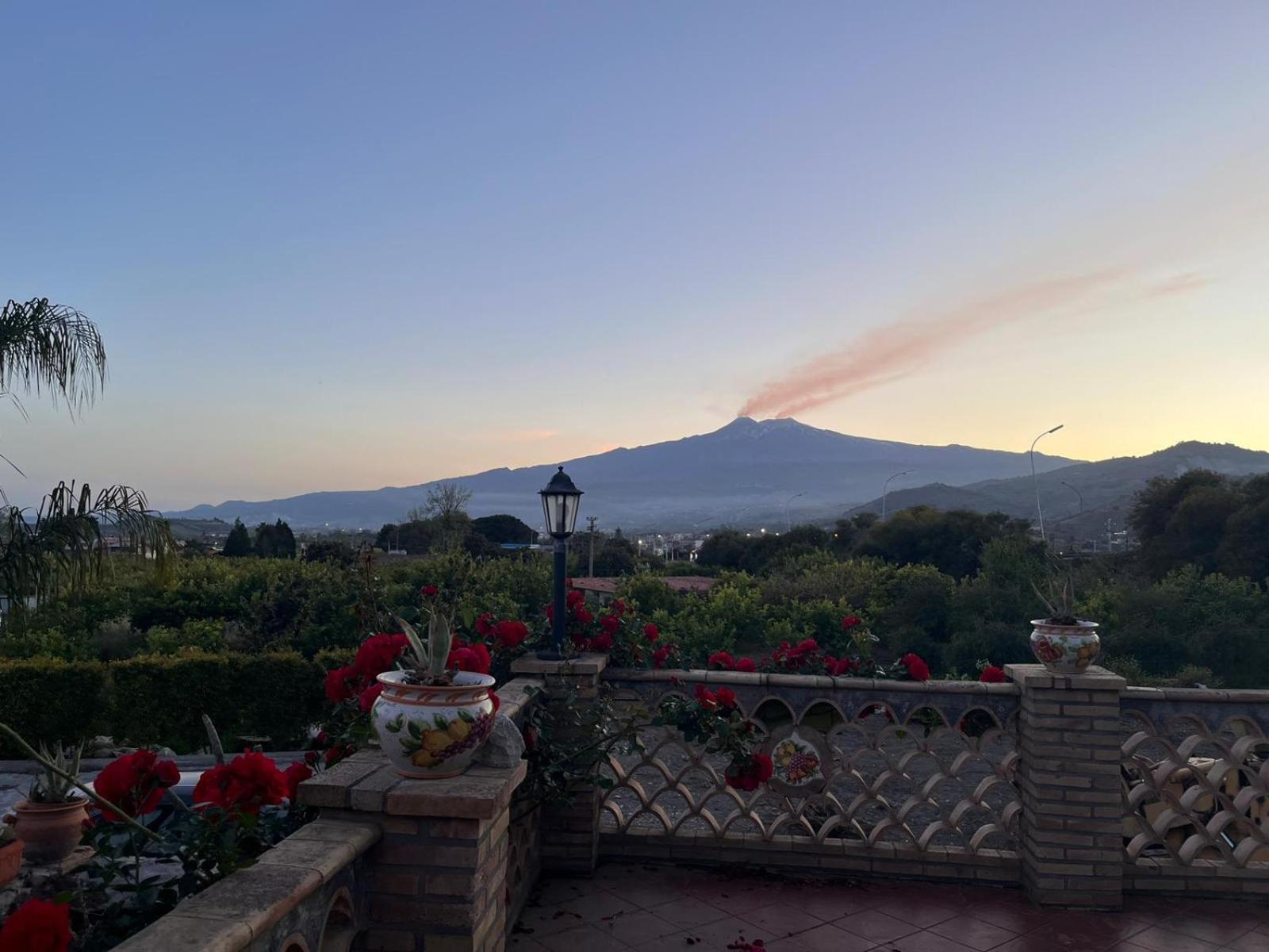 La Pomelia B&B Sofia Trappitello Ngoại thất bức ảnh